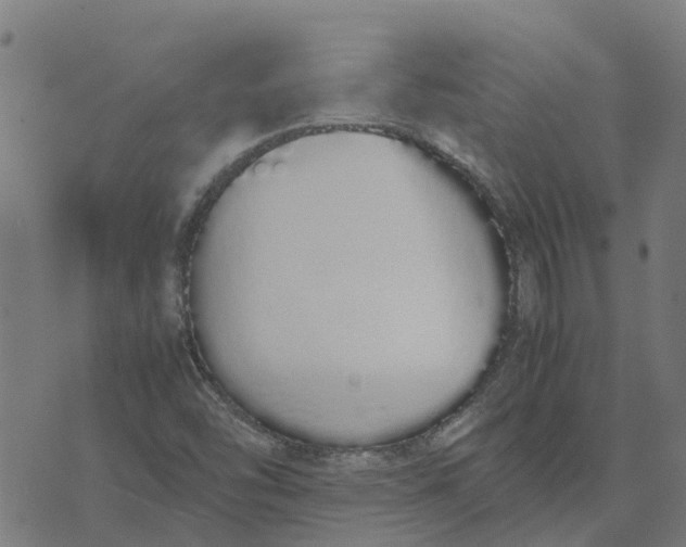 X0000070381454200606231700