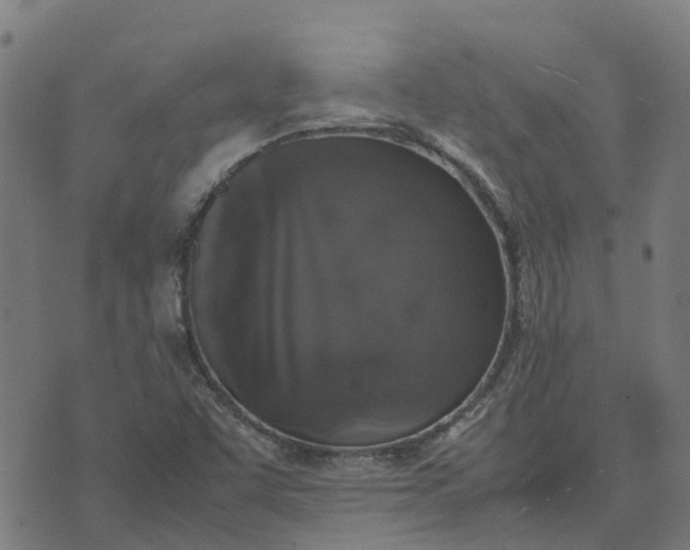 X0000070381455200606231700