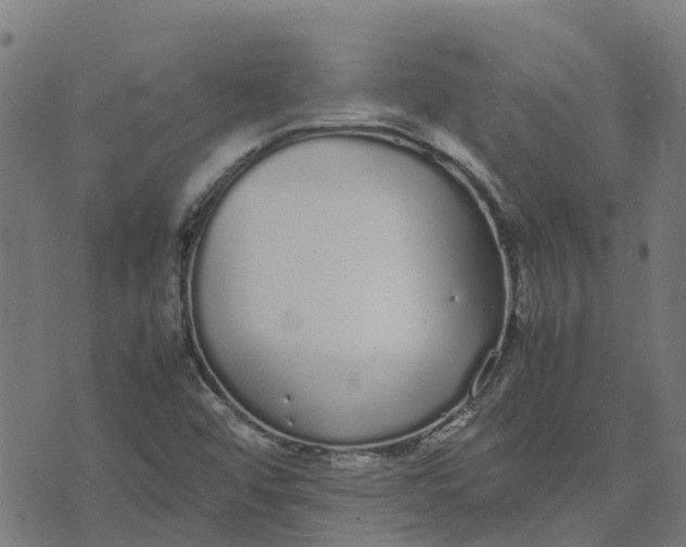 X0000070381456200606231700