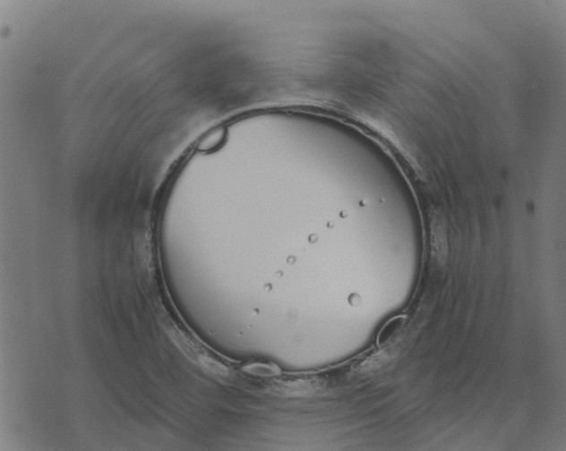 X0000070381460200606231700