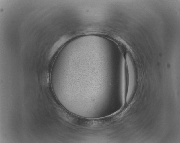 X0000070381461200606231700