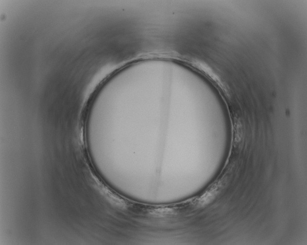 X0000070381462200606231700