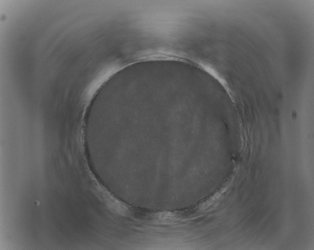 X0000070381463200606231700