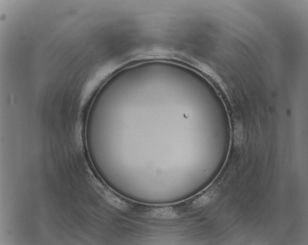 X0000070381464200606231700