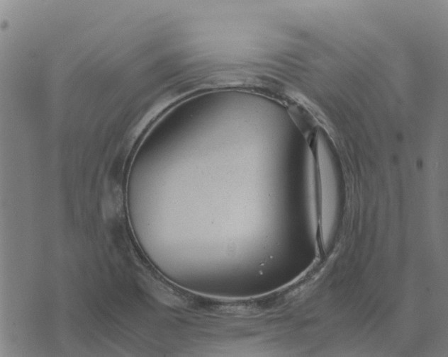 X0000070381465200606231700