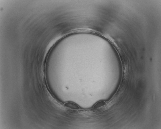 X0000070381466200606231700