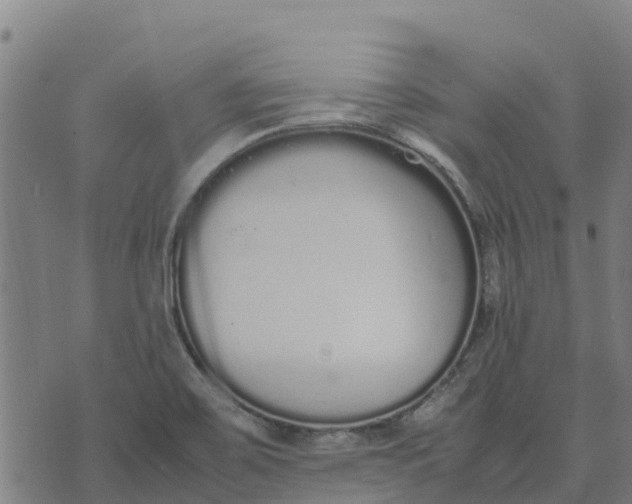 X0000070381467200606231700