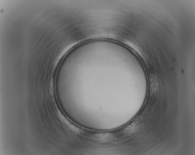 X0000070381468200606231700