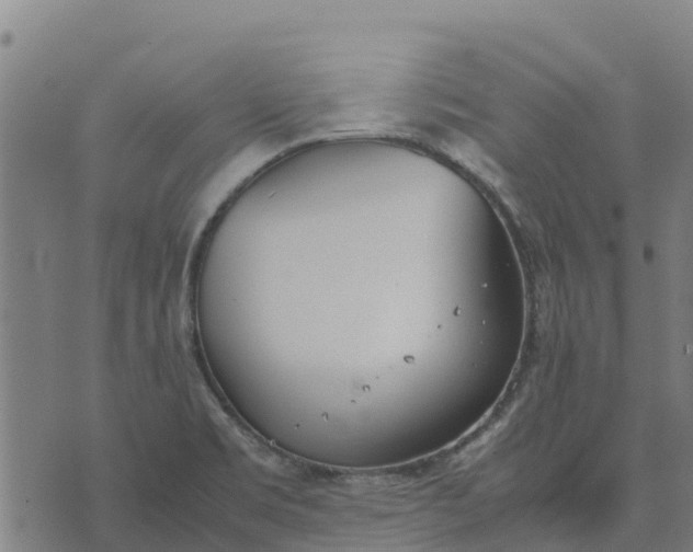 X0000070381469200606231700