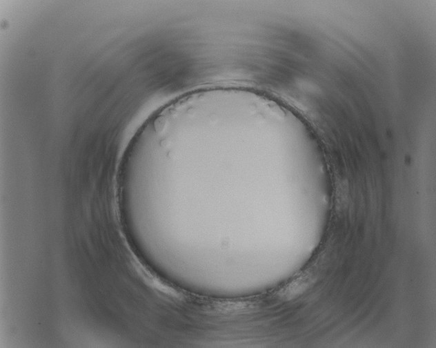 X0000070381470200606231700