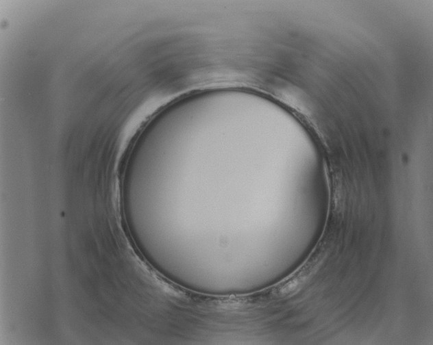 X0000070381472200606231700