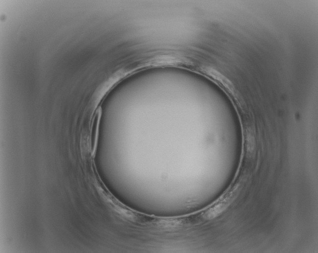 X0000070381473200606231700