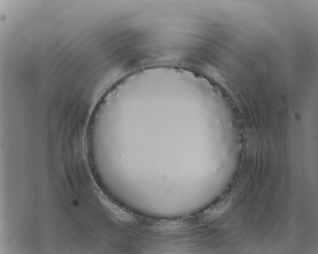 X0000070381474200606231700