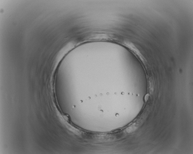 X0000070381475200606231700