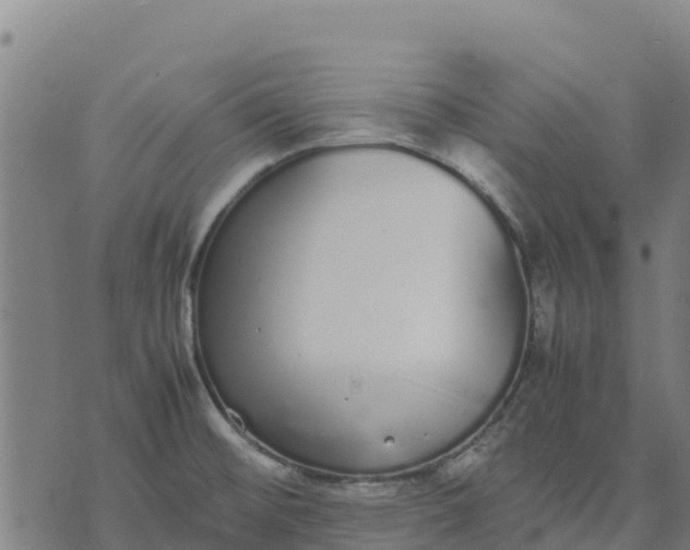 X0000070381476200606231700