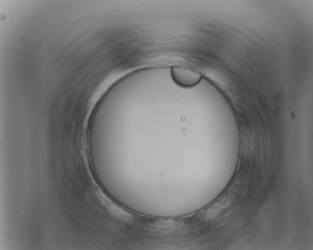 X0000070381478200606231700