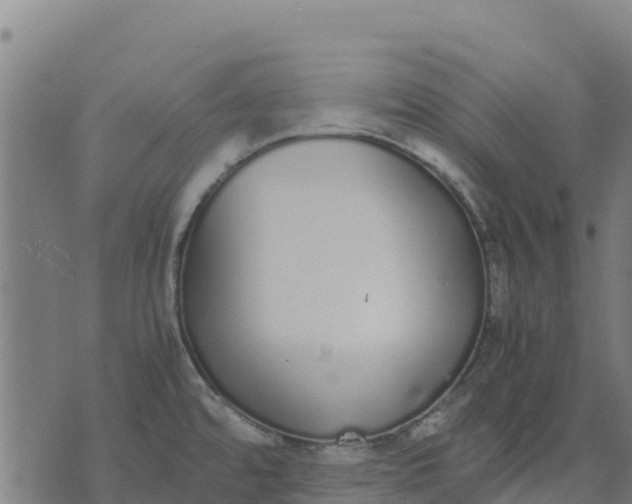 X0000070381480200606231700