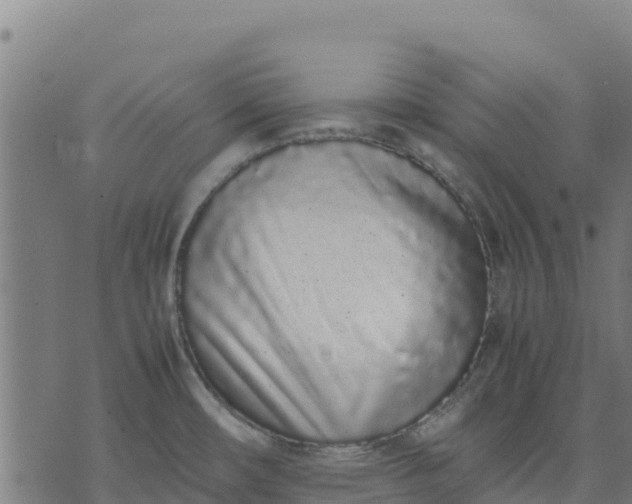 X0000070381482200606231700