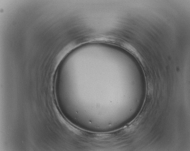 X0000070381483200606231700