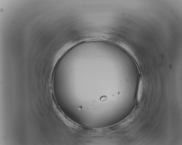 X0000070381485200606231700