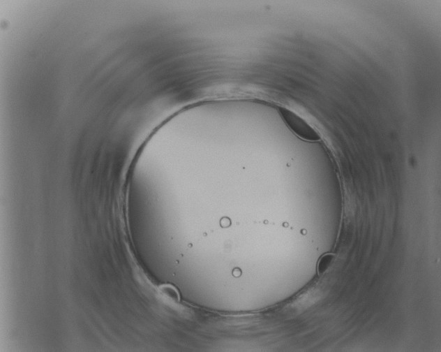 X0000070381486200606231700