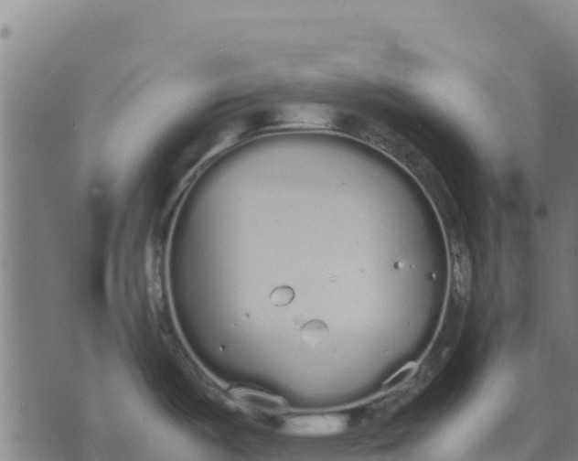 X0000070381487200606231700