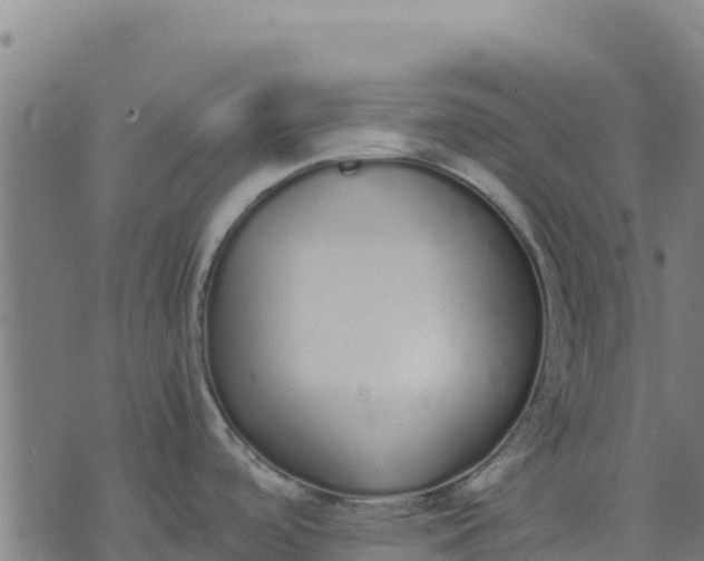 X0000070381488200606231700