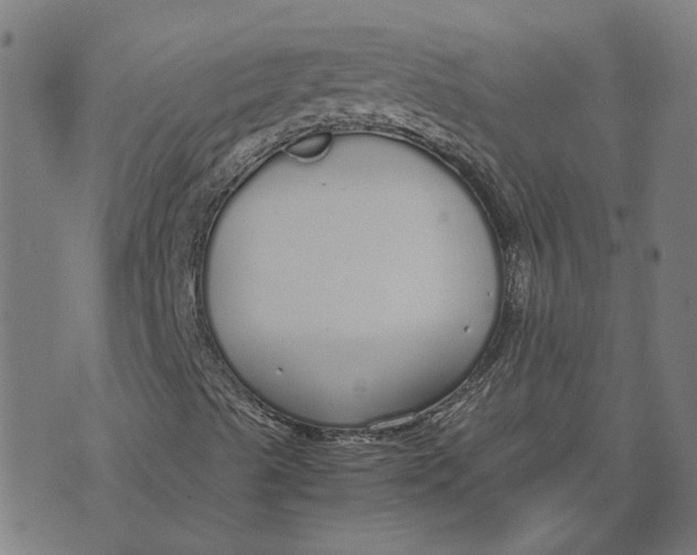 X0000070381489200606231659