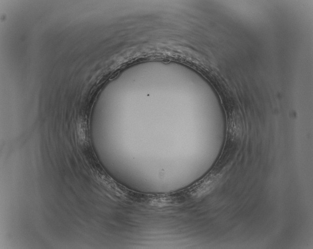 X0000070381490200606231659