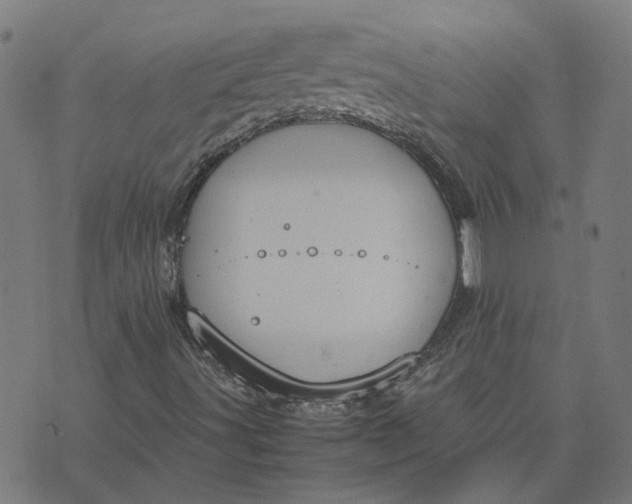 X0000070381491200606231659