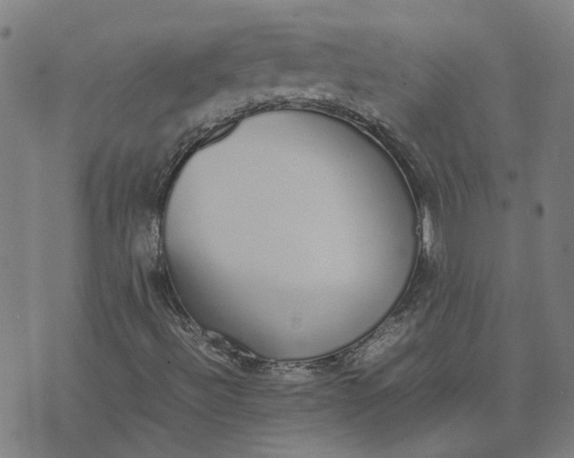 X0000070381492200606231659