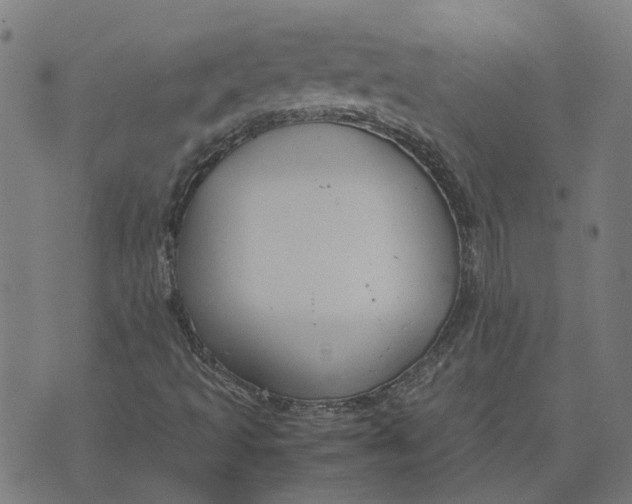 X0000070381493200606231659