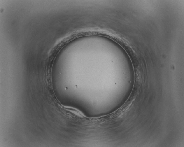 X0000070381494200606231659