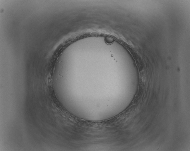 X0000070381495200606231659