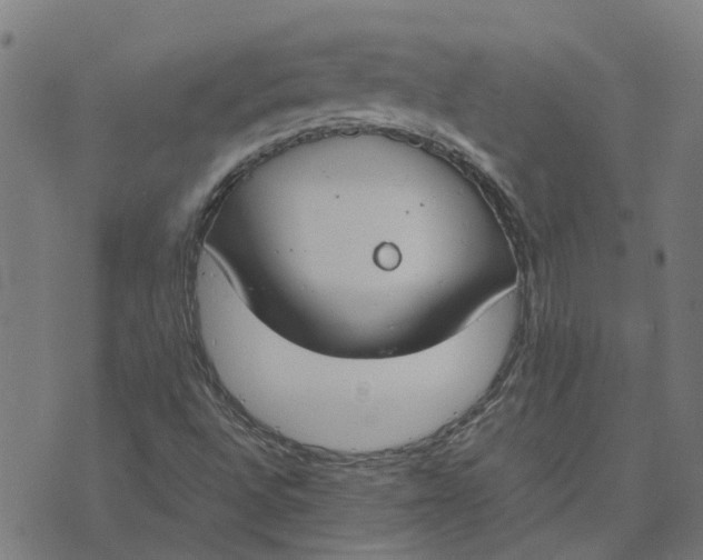 X0000070381496200606231659