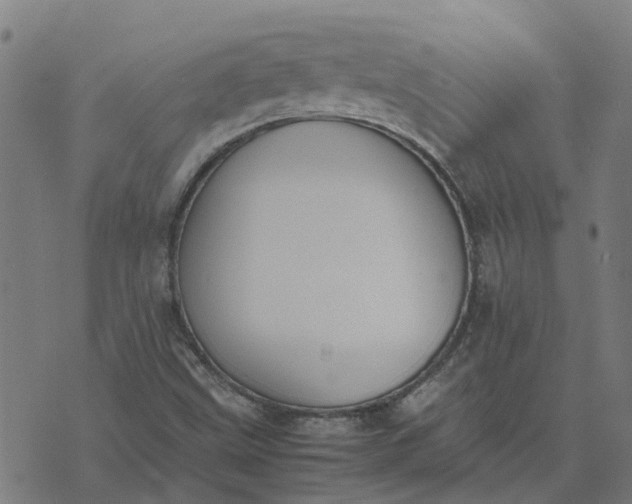 X0000070381499200606231659