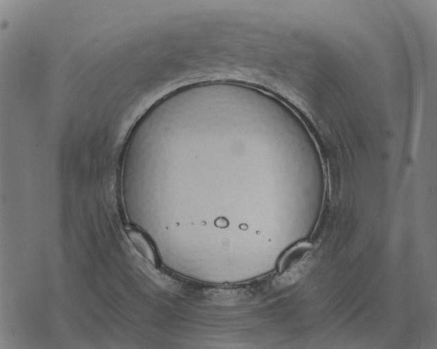 X0000070381500200606231659