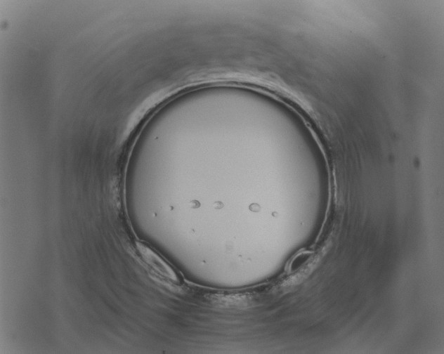 X0000070381501200606231659