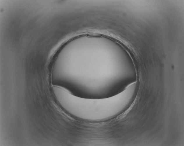 X0000070381502200606231659