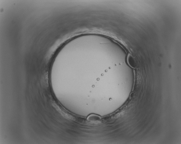 X0000070381503200606231659