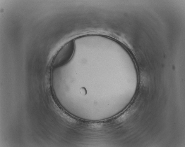 X0000070381504200606231659