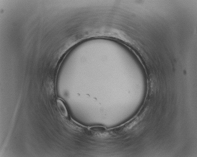 X0000070381505200606231659