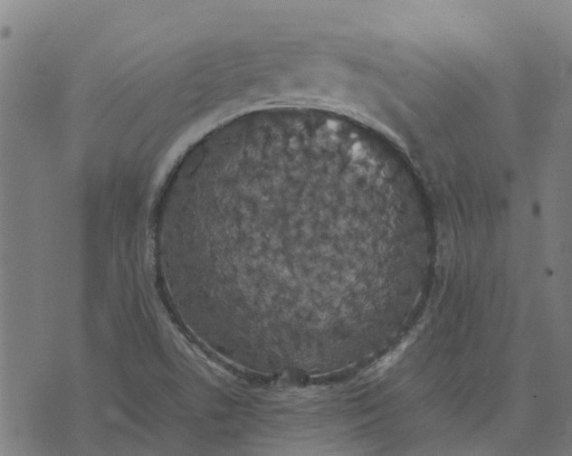 X0000070381506200606231659