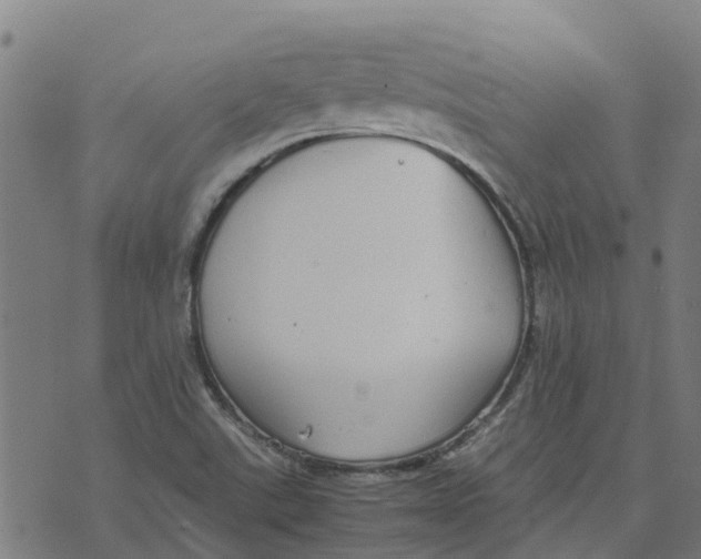 X0000070381507200606231659