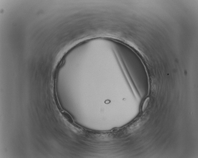 X0000070381508200606231659