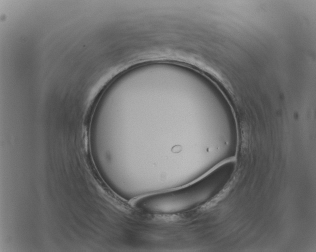 X0000070381509200606231659