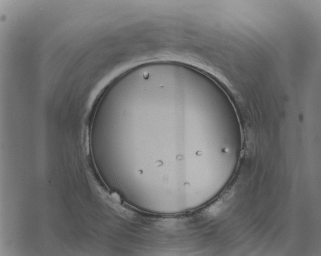 X0000070381510200606231659