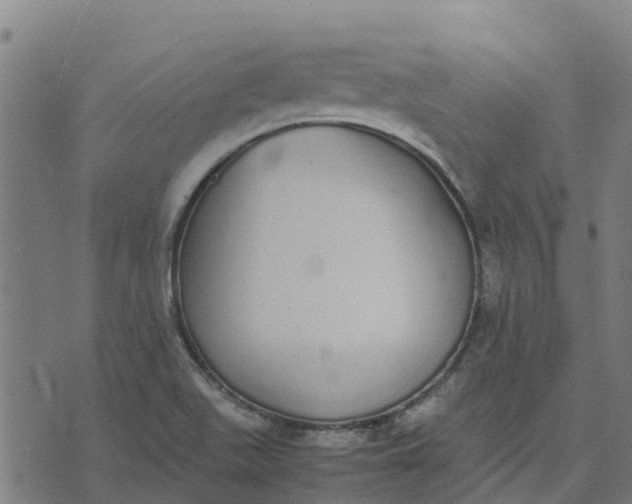 X0000070381511200606231659