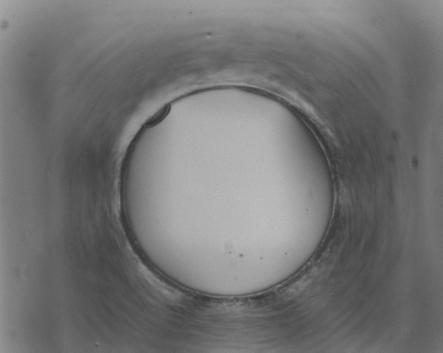 X0000070381512200606231659