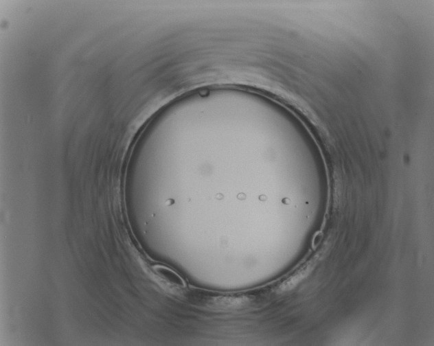 X0000070381513200606231659